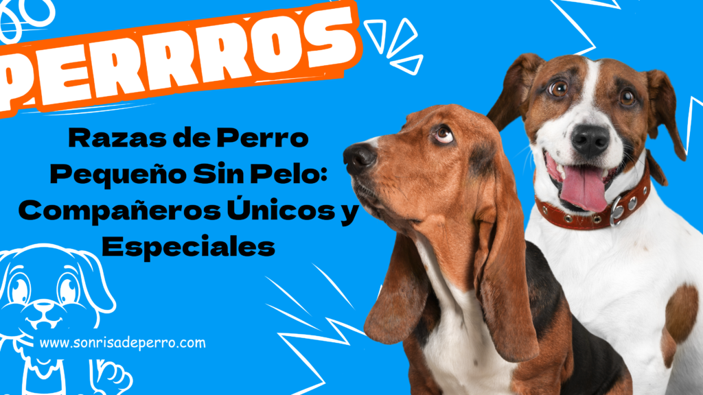 Razas de Perro Pequeño Sin Pelo: Compañeros Únicos y Especiales