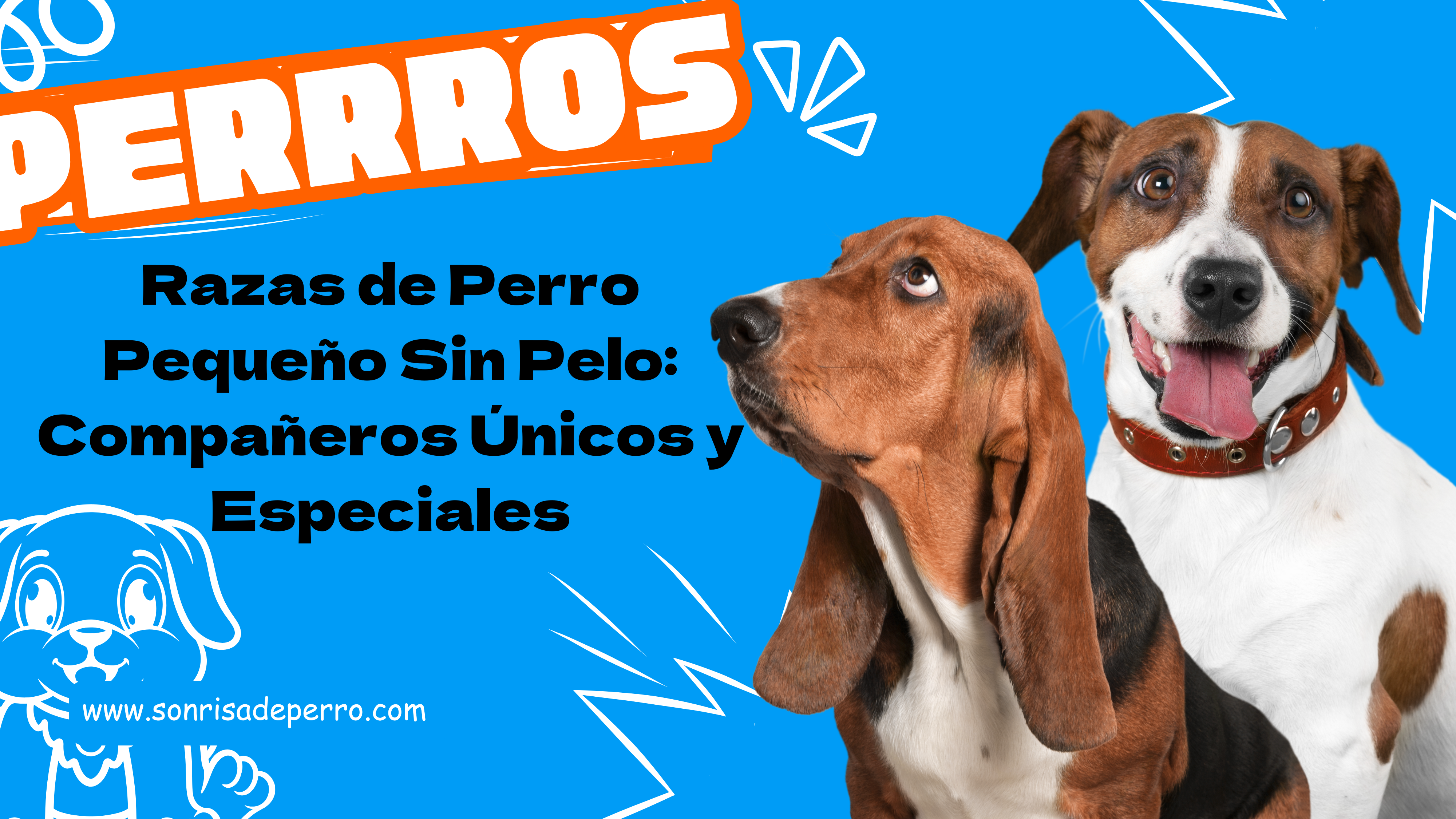 You are currently viewing Perro Pequeño Sin Pelo: Compañeros Únicos y Especiales 2024