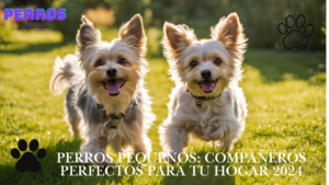 Read more about the article Perros pequeños: compañeros perfectos para tu hogar 2024