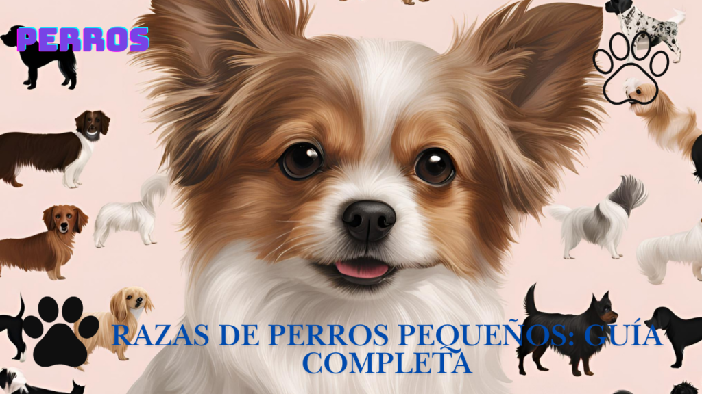 Razas de perros pequeños: Guía completa