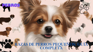 Read more about the article perfect razas de perros pequeños: Guía completa 2024